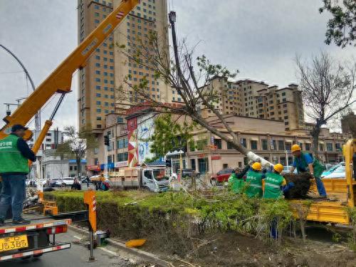 困扰市民三年的交通顽疾要解决？中山街与林海路交叉口改造来了