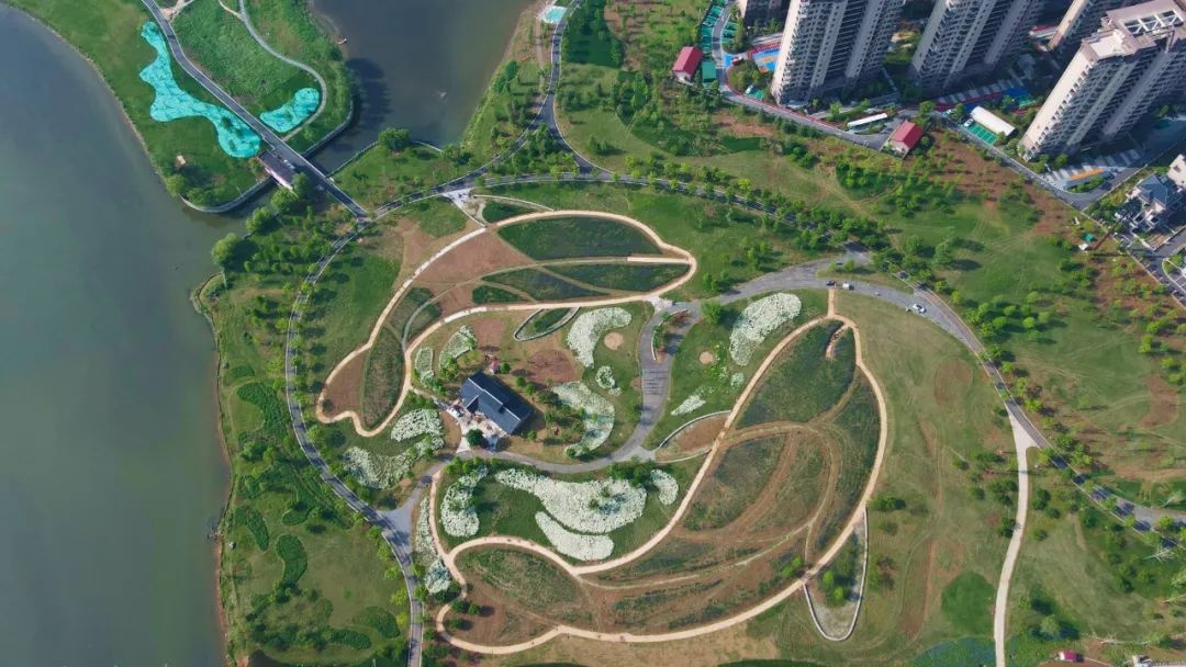 两湖公园即将竣工！我市即将迎来新生态公园？你知道在哪吗  第2张