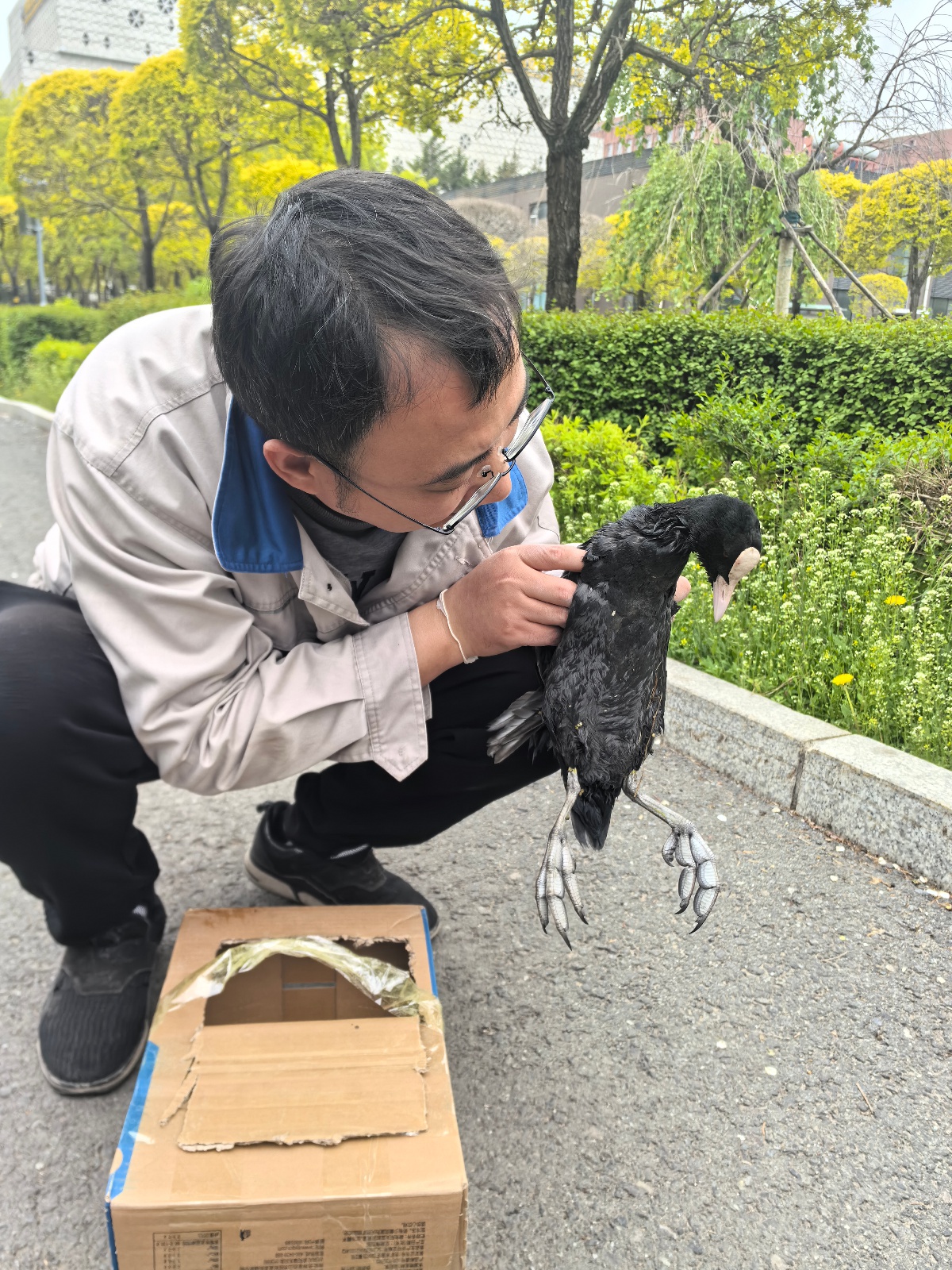 5月9日长春同心湖公园！与时间赛跑的野生动物救援咋回事？  第3张