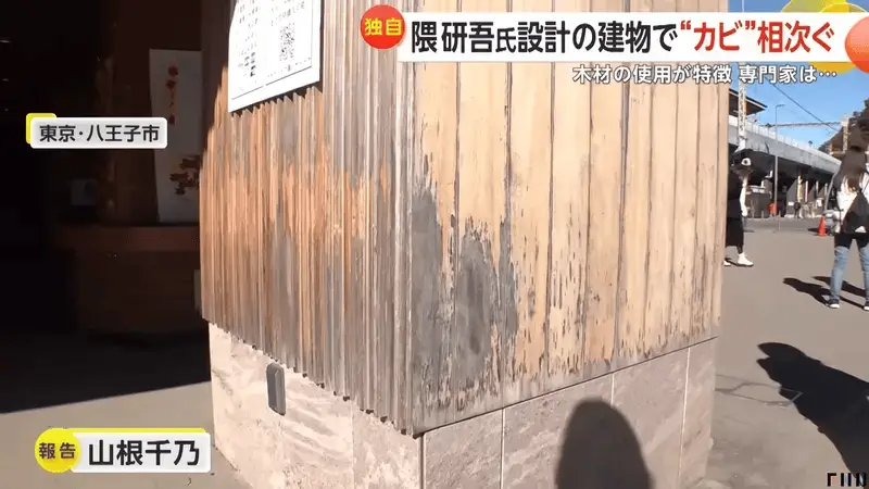 隈研吾建筑发霉腐烂，巨资翻修！日本建筑大师的设计理念真的靠谱吗？  第2张