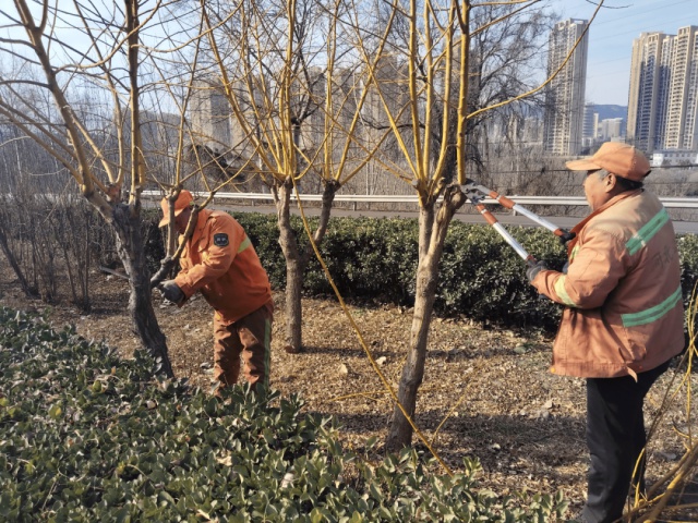 涉县交通局如何确保春运安全畅通？213立方米垃圾清运背后的故事  第2张