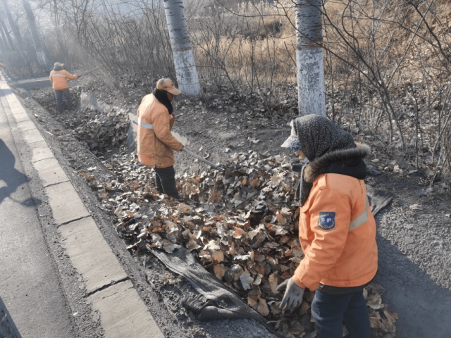 涉县交通局如何确保春运安全畅通？213立方米垃圾清运背后的故事  第3张