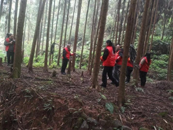 雨城区如何筑牢森林草原防火屏障？六大措施揭秘
