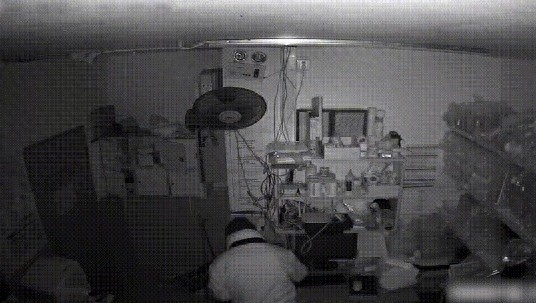 离职员工深夜潜入水果店，为何偏偏对榴莲和金桔情有独钟？
