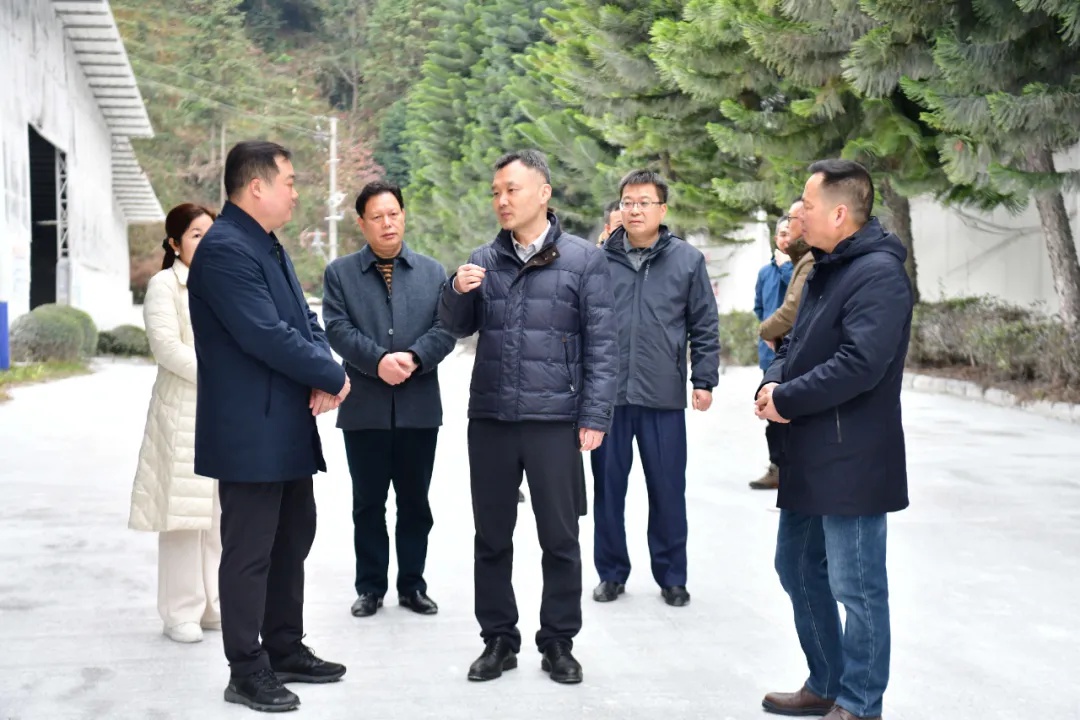 县委书记雷陈深入调研，龙胜企业如何抓住机遇做大做强？  第8张