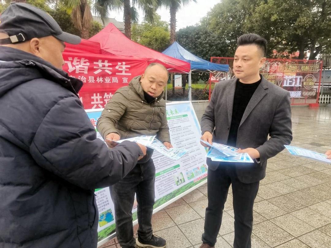 你知道湿地保护有多重要吗？芷江林业局的世界湿地日宣传活动震撼来袭  第1张