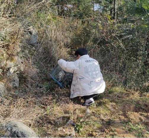 巫溪县林业局如何拯救受伤野生动物？2025年放生行动揭秘  第3张