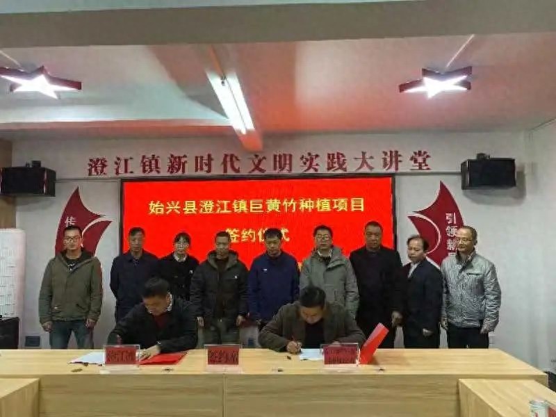 澄江镇招商引资大爆发！4500万元投资4大项目，鳗鲡养殖项目2亿元启动，未来将如何改变当地经济？  第1张