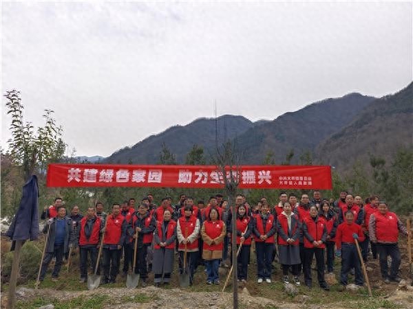 70余名志愿者共植330株白皮松，大坪镇如何实现生态振兴？