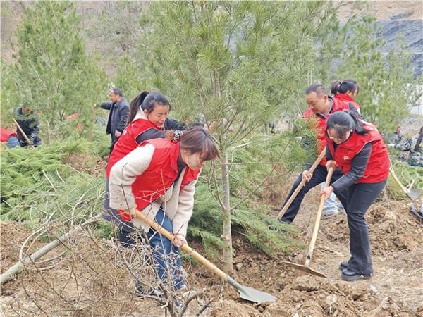 70余名志愿者共植330株白皮松，大坪镇如何实现生态振兴？  第3张