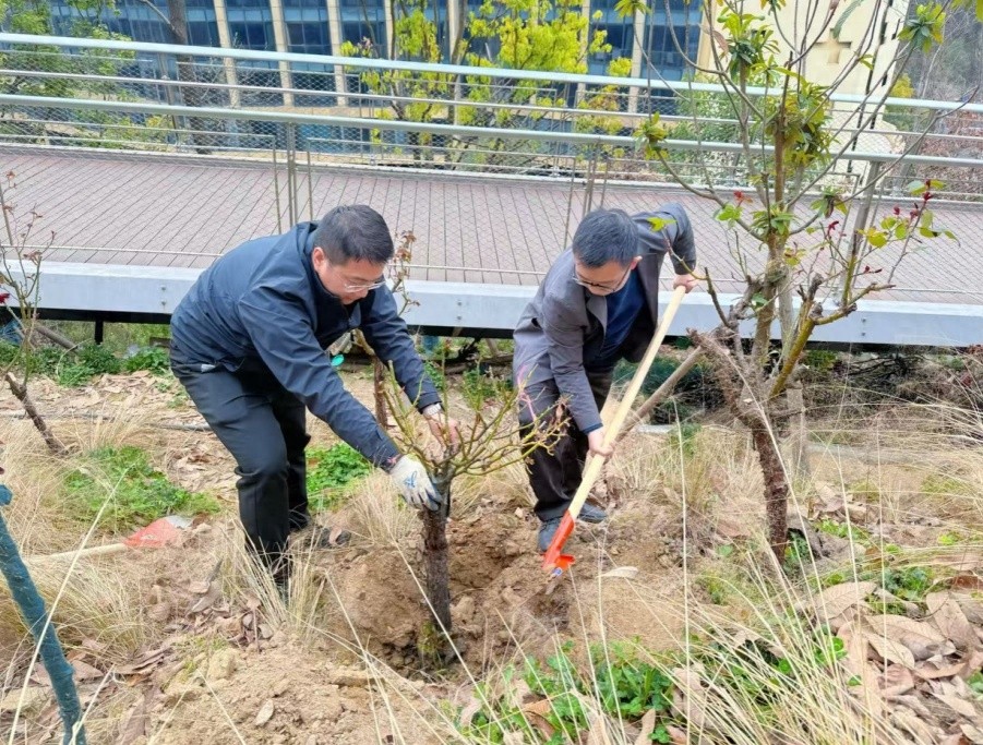 你知道吗？这条11.1公里的健康步道竟成了全国典范  第1张