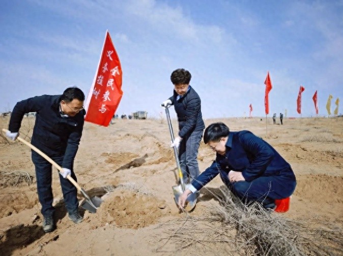 阿拉善万人植绿大会战，3000亩沙漠变绿洲！你愿意加入吗？