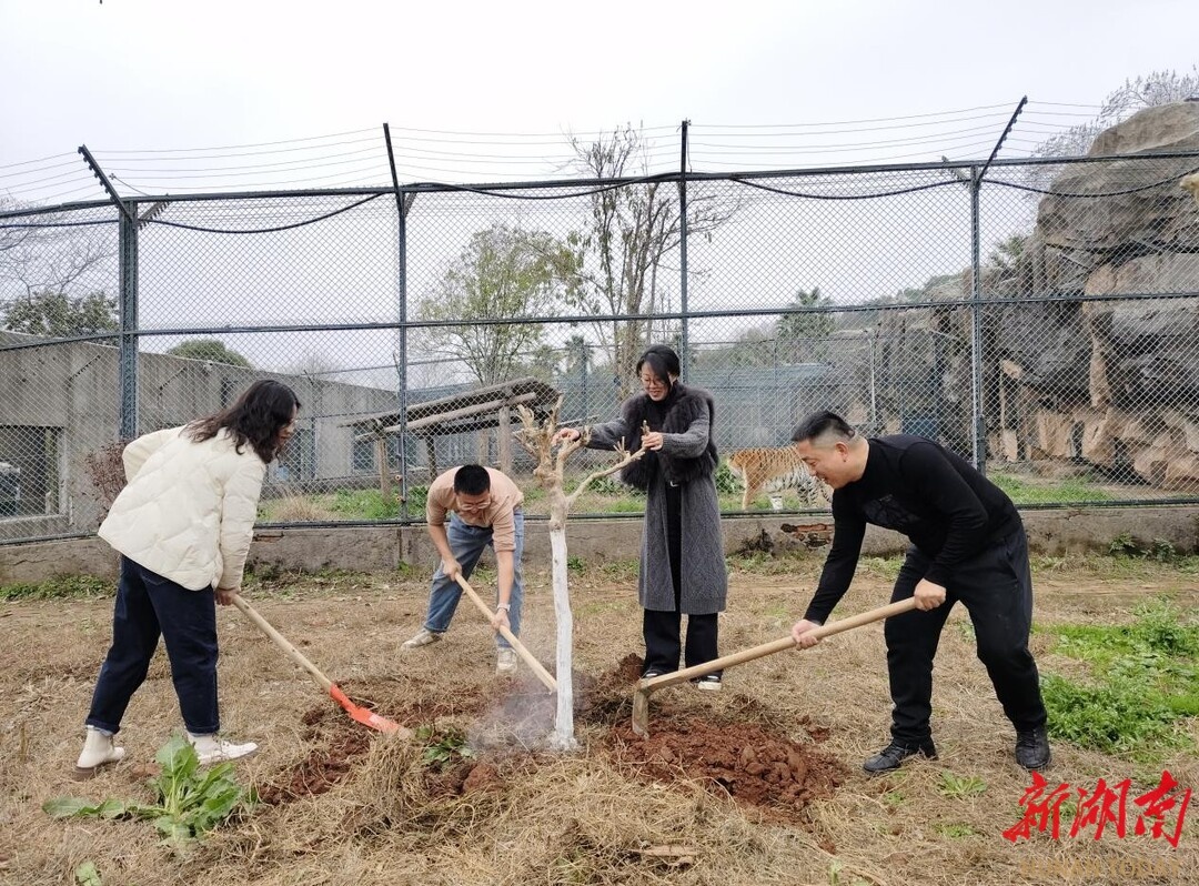 长沙生态动物园植树节大动作！30株紫薇+80株花灌木，你参与了吗？  第2张