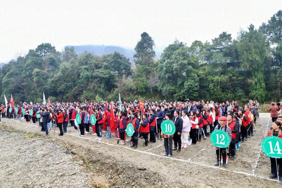 你知道吗？400人齐聚铜仁，为家乡增添新绿，他们做了什么？