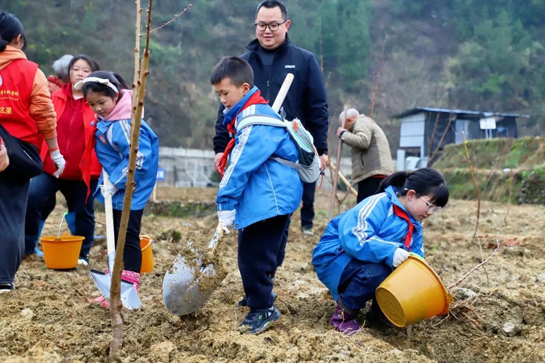 你知道吗？400人齐聚铜仁，为家乡增添新绿，他们做了什么？  第2张