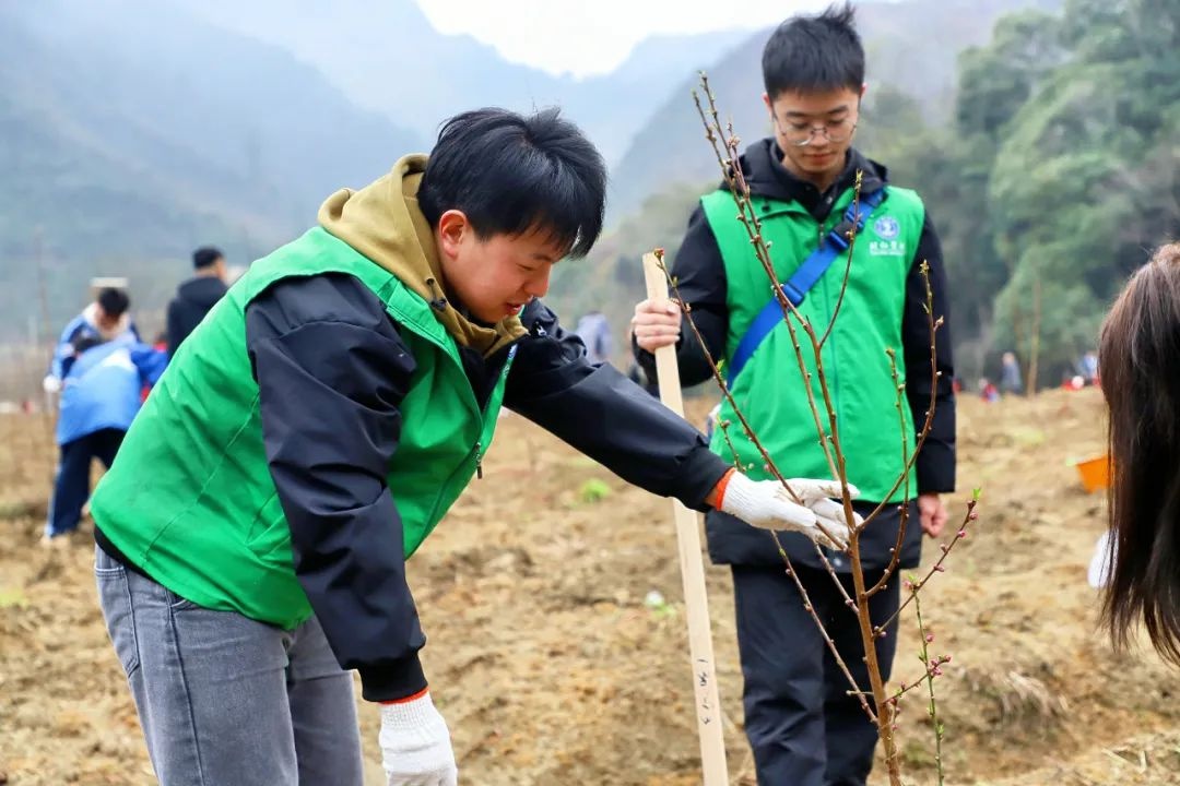 你知道吗？400人齐聚铜仁，为家乡增添新绿，他们做了什么？  第3张