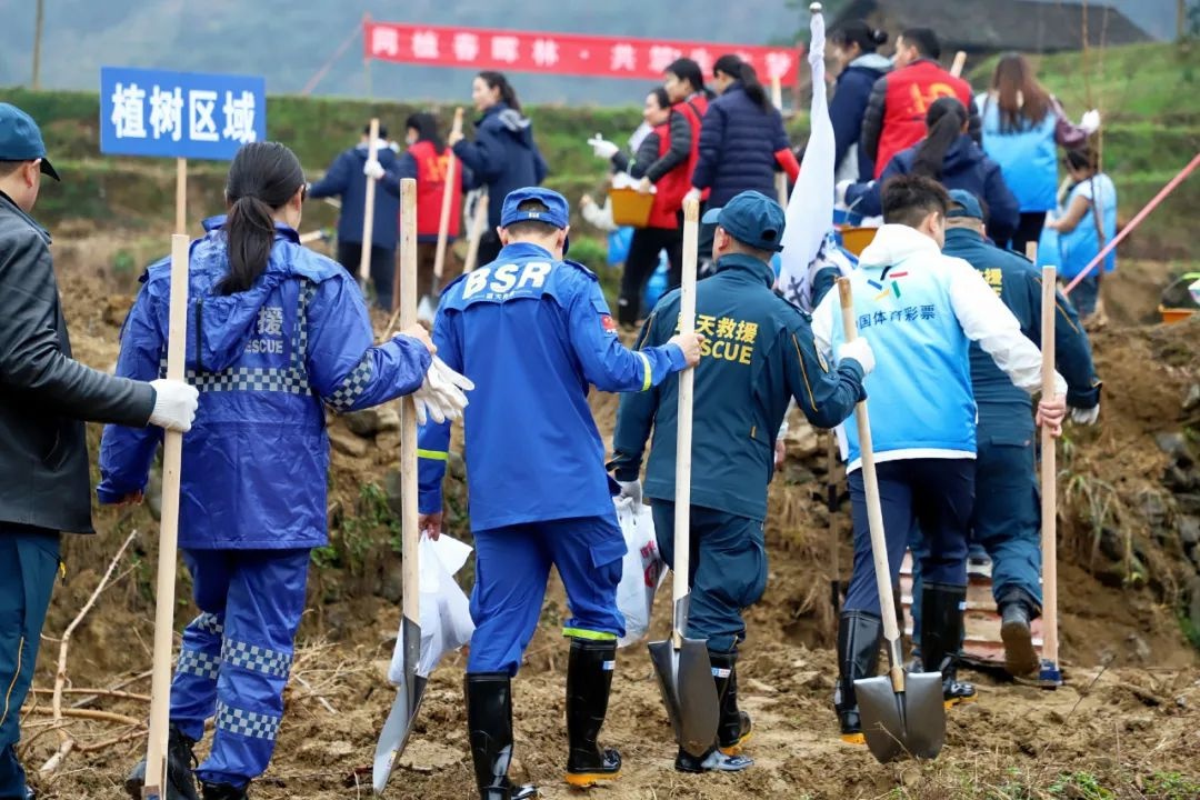 你知道吗？400人齐聚铜仁，为家乡增添新绿，他们做了什么？  第4张