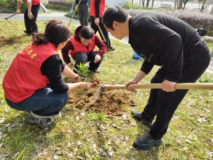 植树节亲子活动大揭秘！20余对家庭如何通过盆栽DIY和捡垃圾实践绿色生活？  第3张