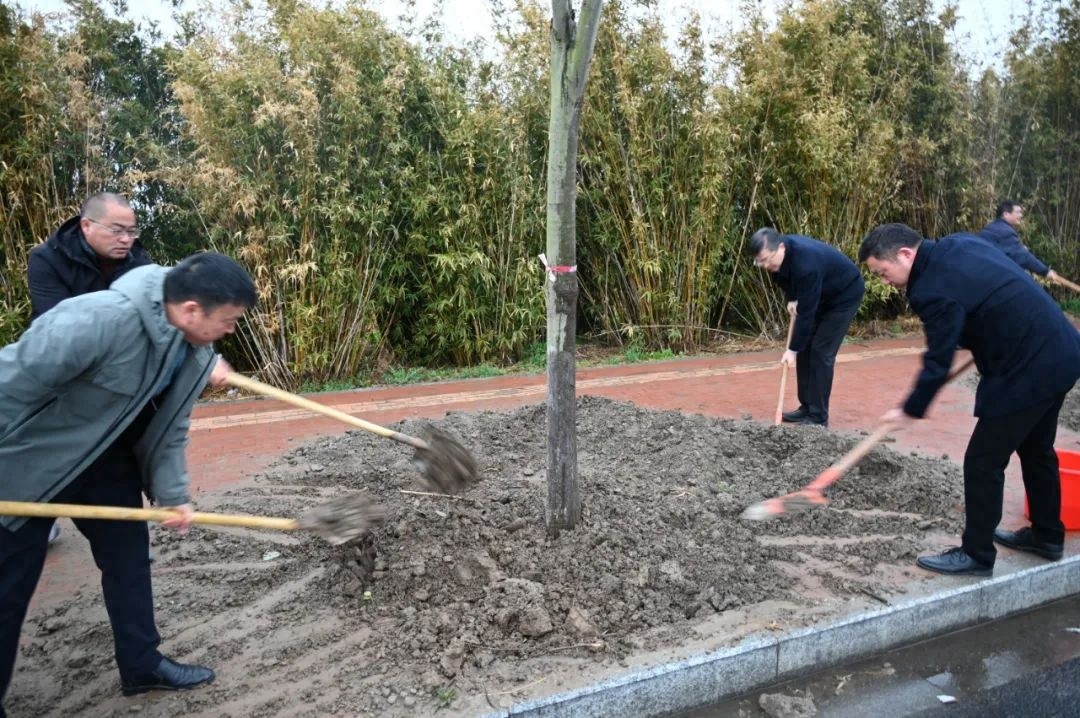 江海街道植树节活动：150亩闲置地如何焕发新生？春意盎然中见证绿色奇迹  第1张