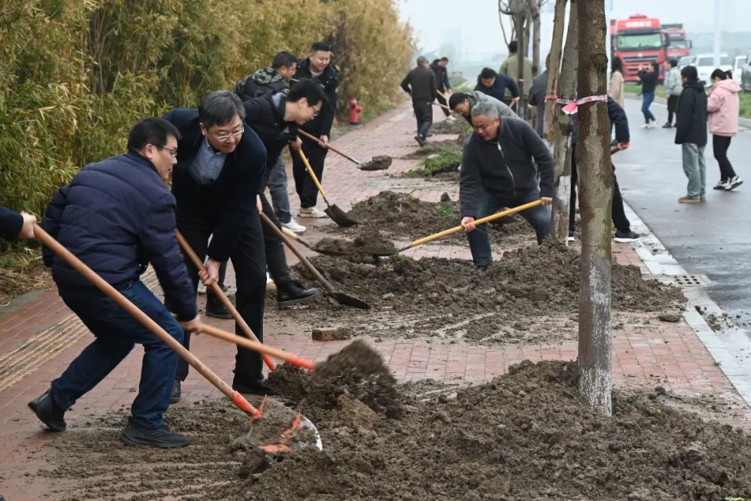 江海街道植树节活动：150亩闲置地如何焕发新生？春意盎然中见证绿色奇迹  第2张