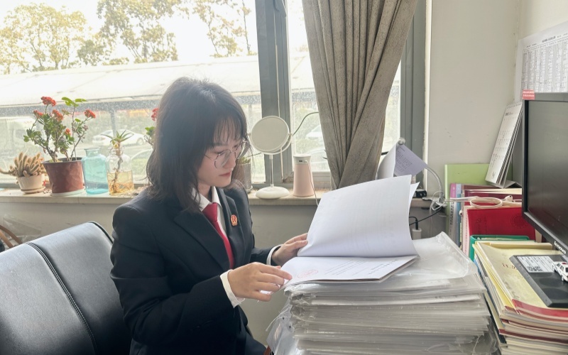 探视权纠纷如何化解？法官善意执行打破亲情僵局  第2张