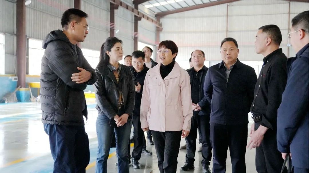 县委书记王凤玲带队调研文市镇工业园区，企业痛点难点问题能否迎刃而解？
