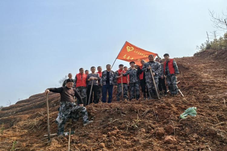 你知道吗？480棵树苗如何在桃林村安家落户？揭秘柏林镇的绿色行动  第4张