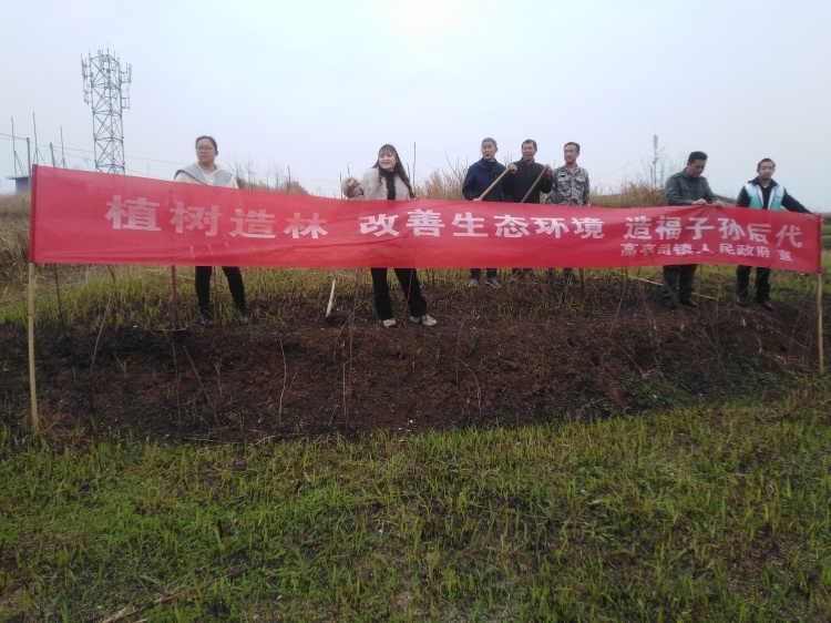 你知道吗？永兴县油市社区的绿色新希望正在悄悄萌芽  第2张