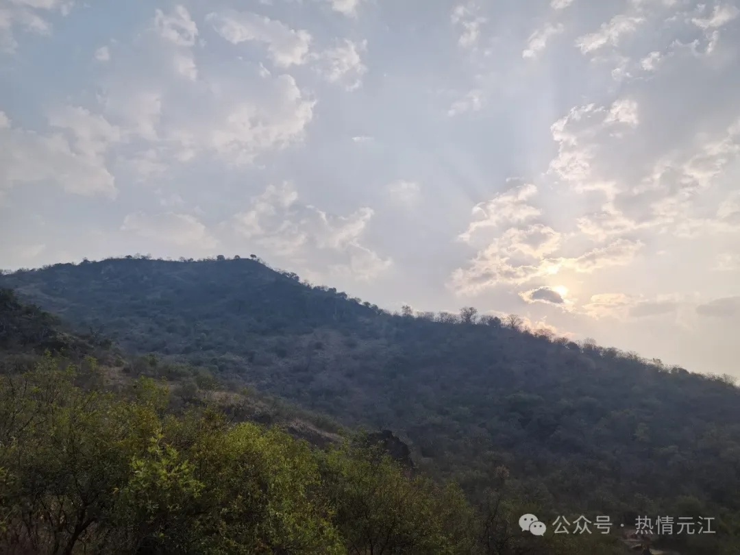 云南玉溪森林火险预警升级！未来5天高危险，如何防患于未燃？  第6张