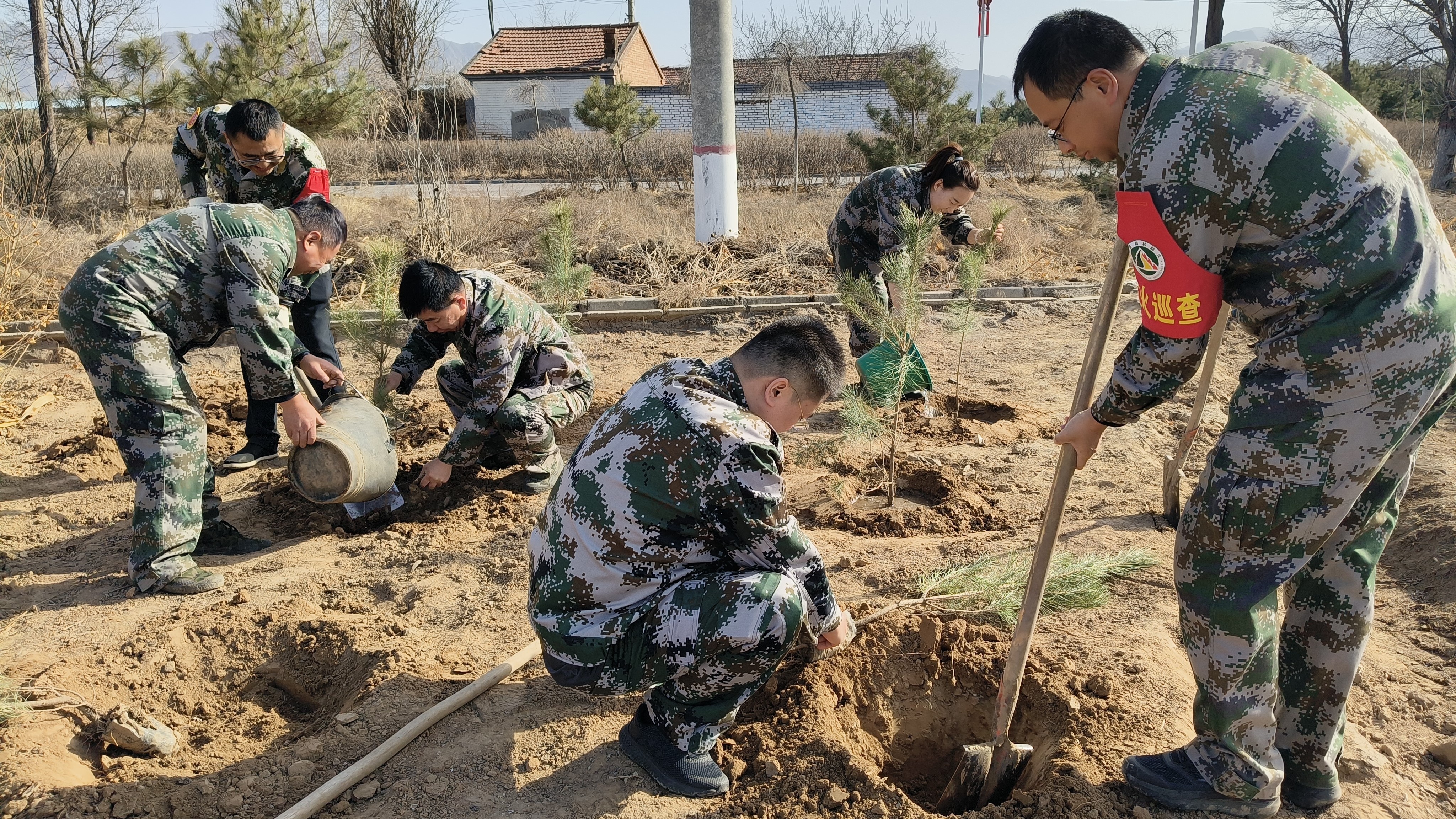 2025年植树节，五台山为何如此热闹？揭秘这场绿色盛宴的幕后故事  第3张