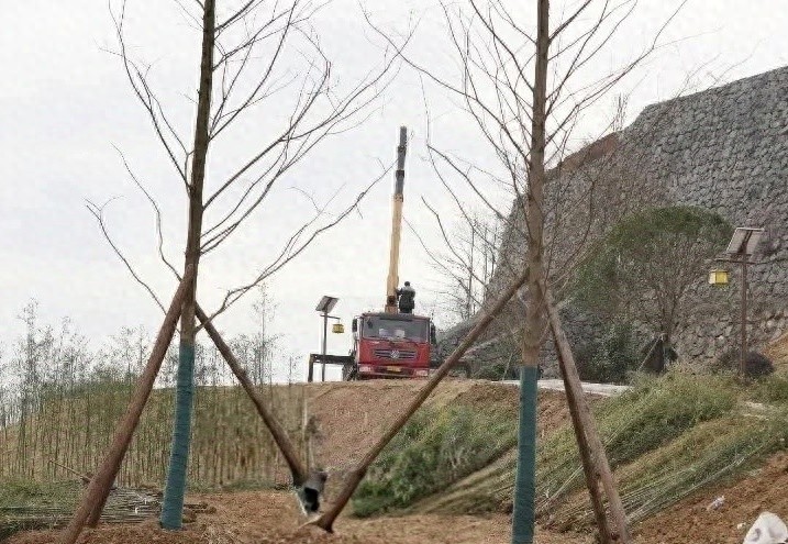 九江瑞昌南义镇：从矿山废墟到竹编文化园，生态修复如何实现华丽蜕变？  第1张