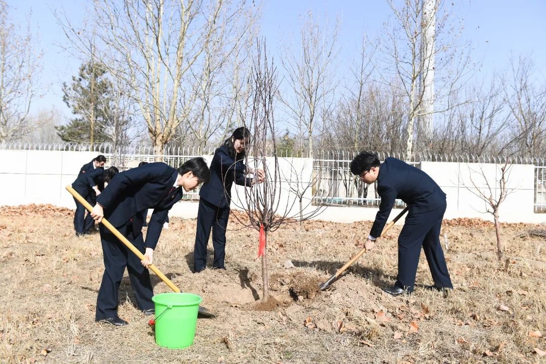 种下的是树苗，收获的却是满满的希望与激情！你也能参与吗？  第2张
