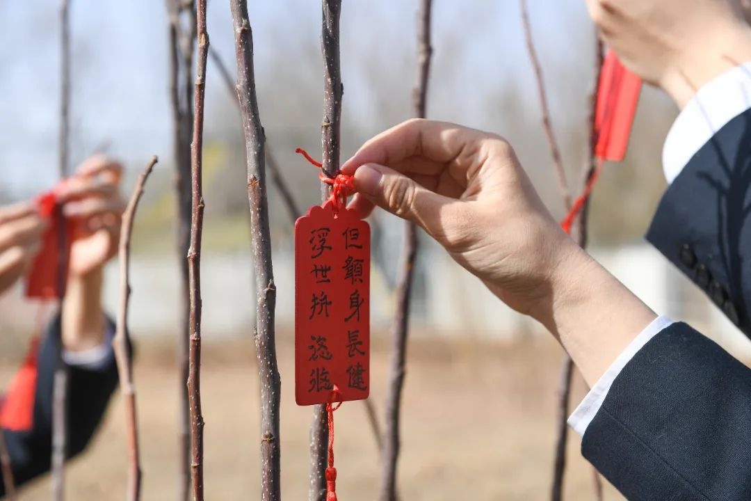 种下的是树苗，收获的却是满满的希望与激情！你也能参与吗？  第5张