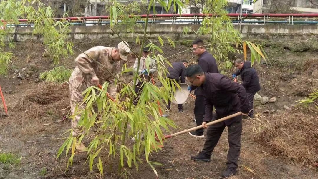 2025年福贡县植树节启动！你准备好为美丽家园贡献力量了吗？  第4张