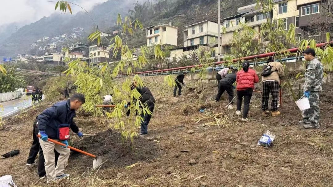 2025年福贡县植树节启动！你准备好为美丽家园贡献力量了吗？  第5张