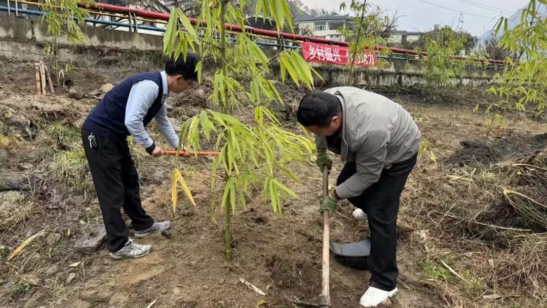 2025年福贡县植树节启动！你准备好为美丽家园贡献力量了吗？  第7张