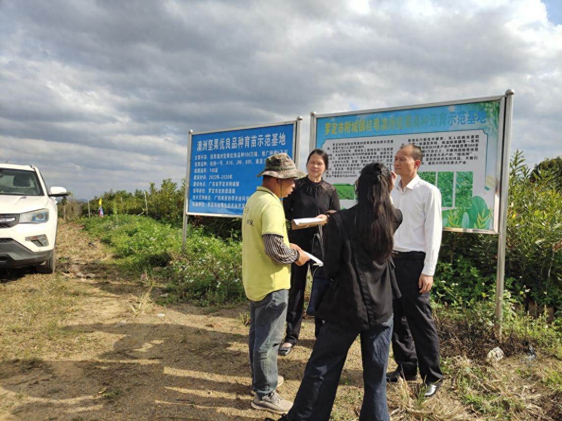 种苗市场价格乱象频发，广东如何强力维护市场秩序？