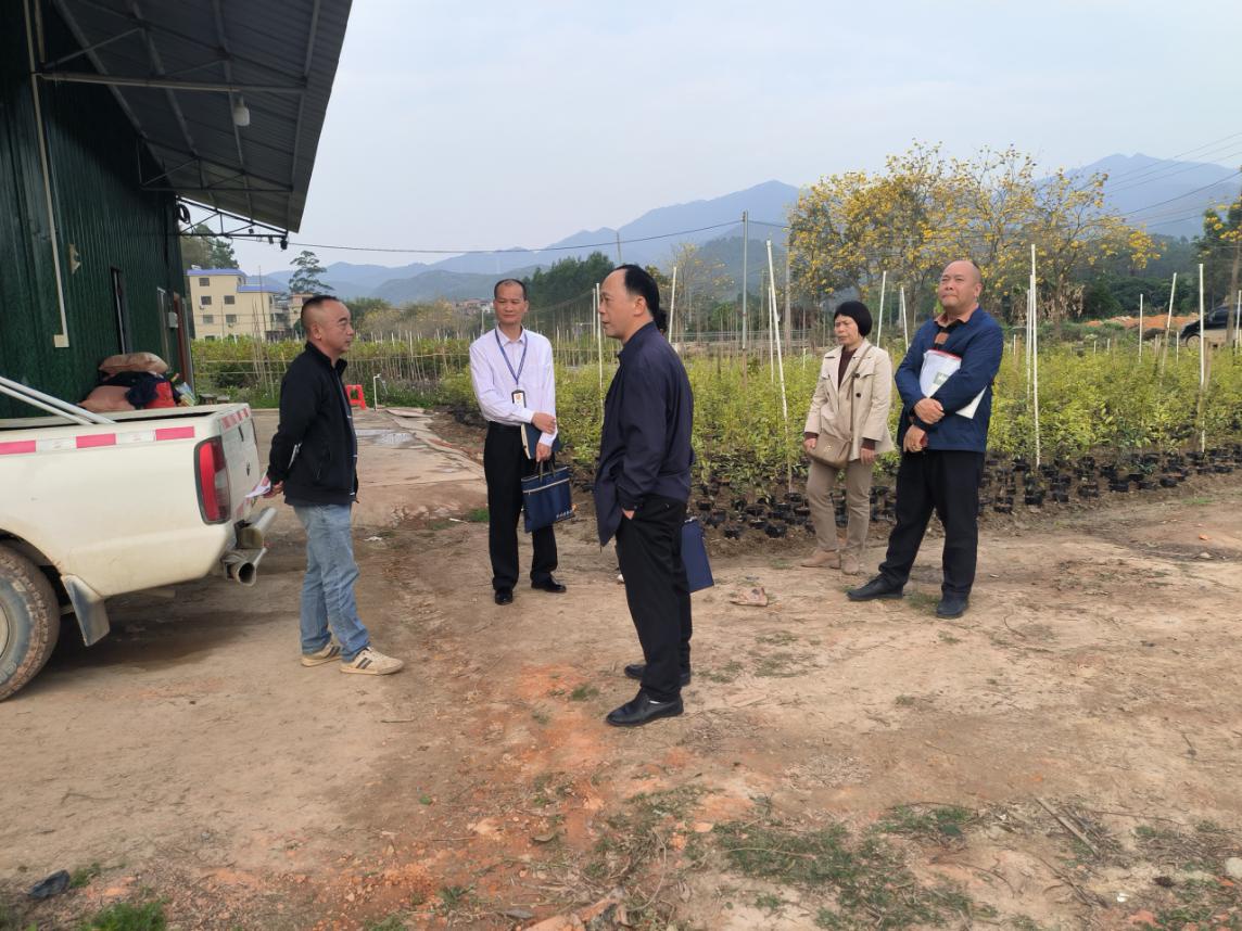 种苗市场价格乱象频发，广东如何强力维护市场秩序？  第2张