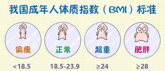 全球三分之一的人超重或肥胖！你属于其中一员吗？快测一下你的腰围  第4张