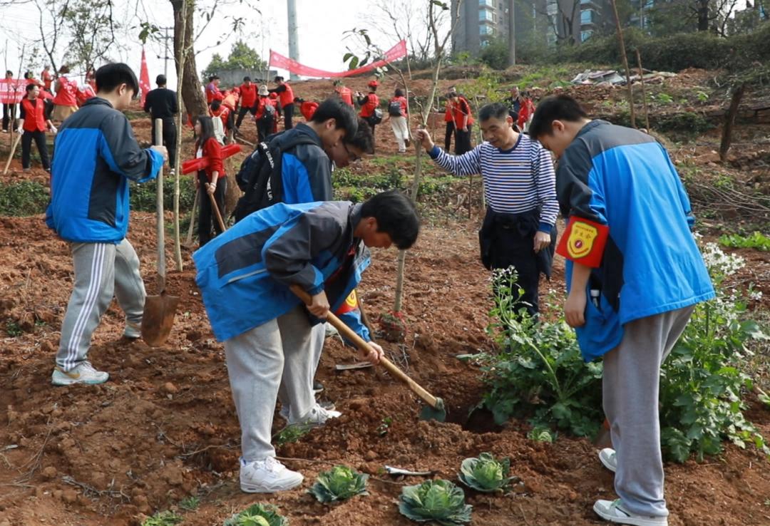580余人齐心植树，北湖区的春日画卷有多美？  第1张