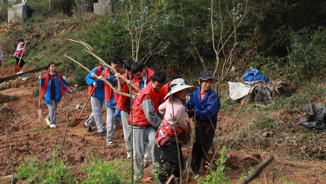 580余人齐心植树，北湖区的春日画卷有多美？  第2张