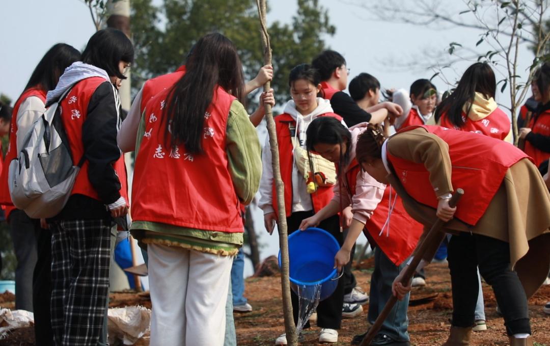 580余人齐心植树，北湖区的春日画卷有多美？  第3张