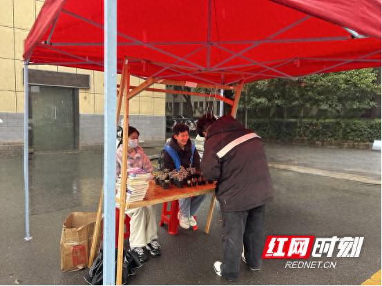 你知道旧书还能兑换多肉植物吗？湖南文理学院的环保活动让人眼前一亮