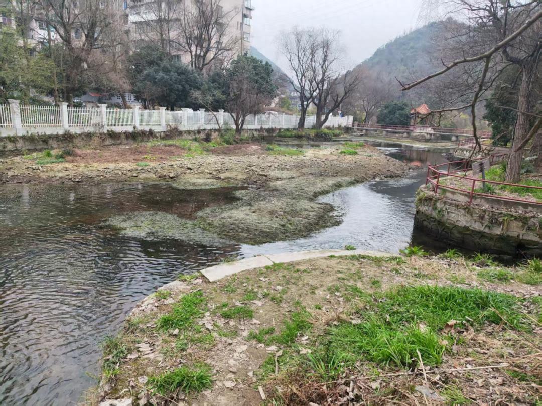 金钟河清淤工程大揭秘：1600立方米淤泥清理后，你的生活将发生哪些巨变？  第1张