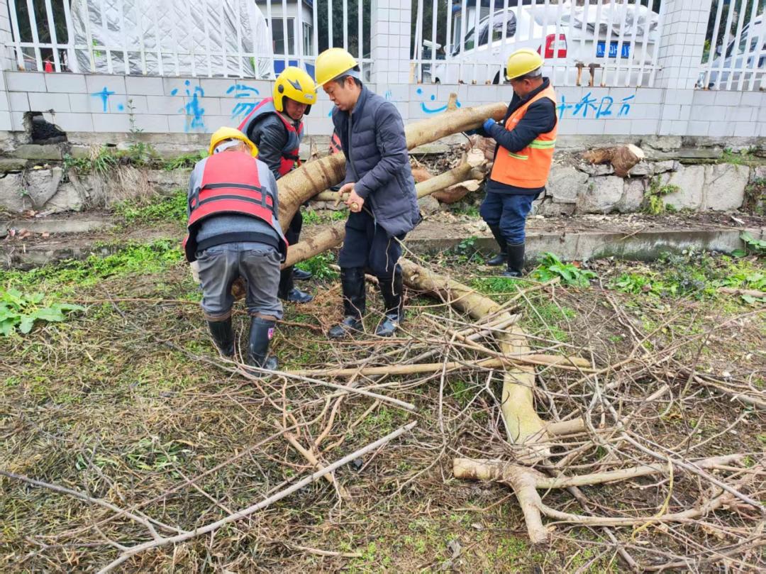 金钟河清淤工程大揭秘：1600立方米淤泥清理后，你的生活将发生哪些巨变？  第4张