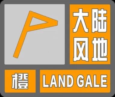 狂风肆虐！10级大风席卷全市，你家安全吗？