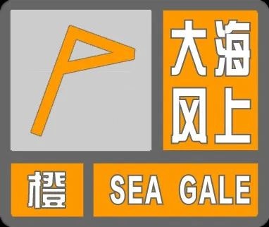 狂风肆虐！10级大风席卷全市，你家安全吗？  第2张
