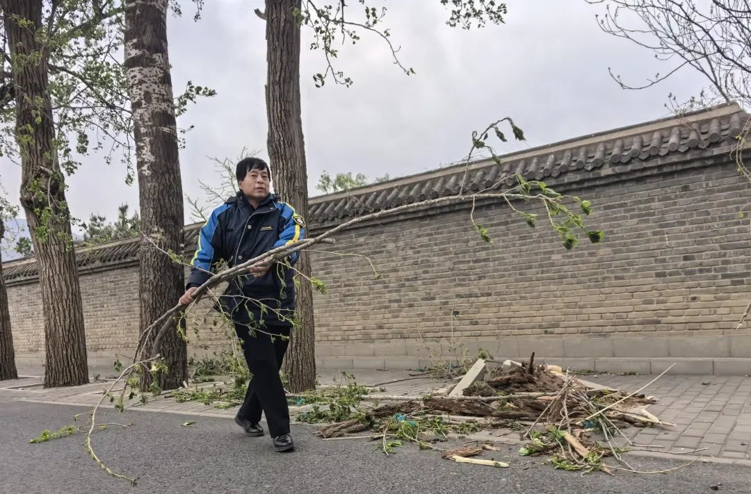 凌晨5点大树挡路，这位公交司机为何放弃休息自告奋勇？  第2张