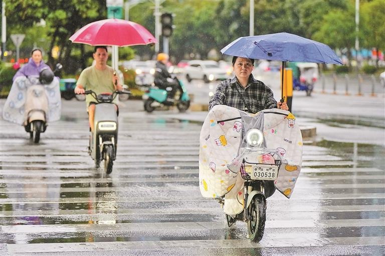 深圳雷暴预警解除，但8级强风仍在肆虐！你的出行计划受影响了吗？  第2张