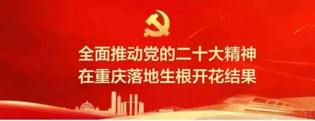 大足黄花风铃木盛开，你见过如此震撼的春日视觉盛宴吗？
